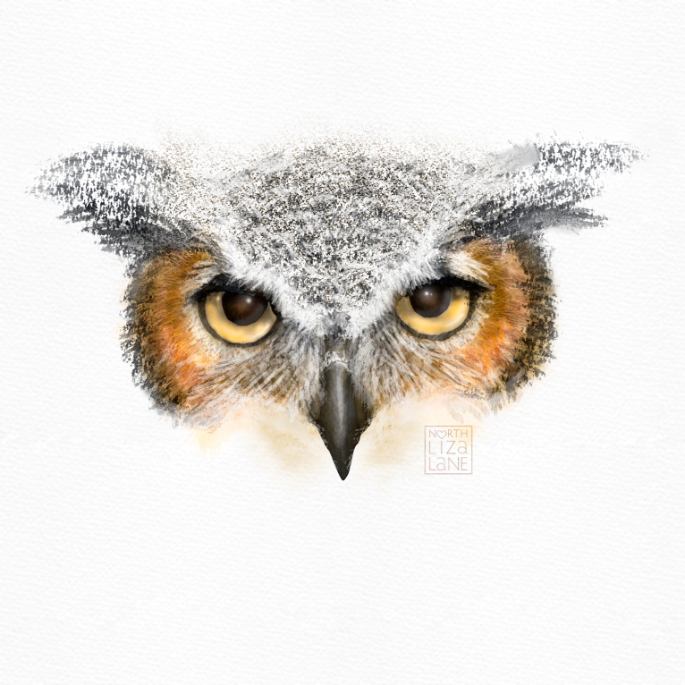 Detail - Night Owl 7