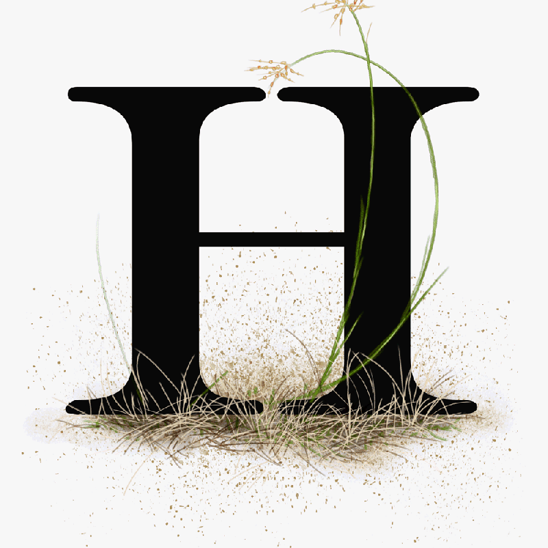 Illustration – H is for …